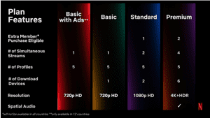 Netflix Paid Sharing Plans